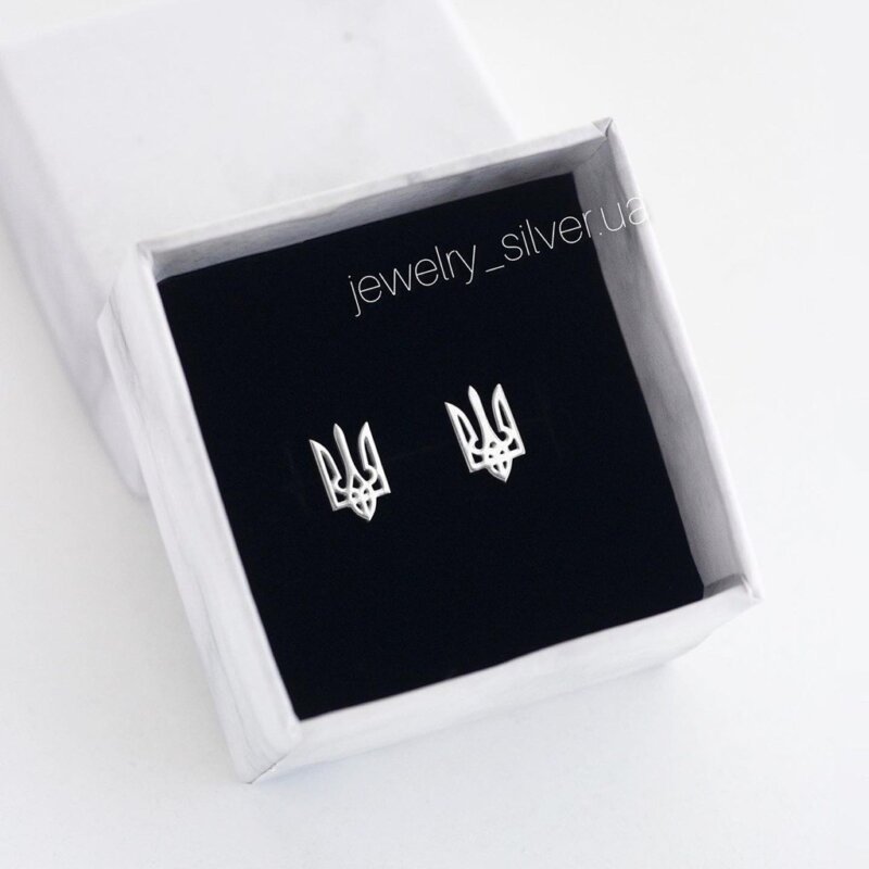 Срібні сережки Герби