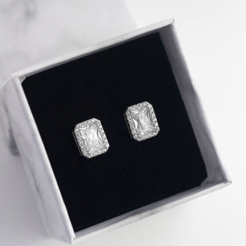 Срібні сережки Арктика